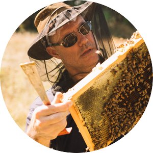 Chris Schad - Caucasian man, wide brimmed hat, sunglasses, bee net around face, holding a board with hundreds of honey bees on it