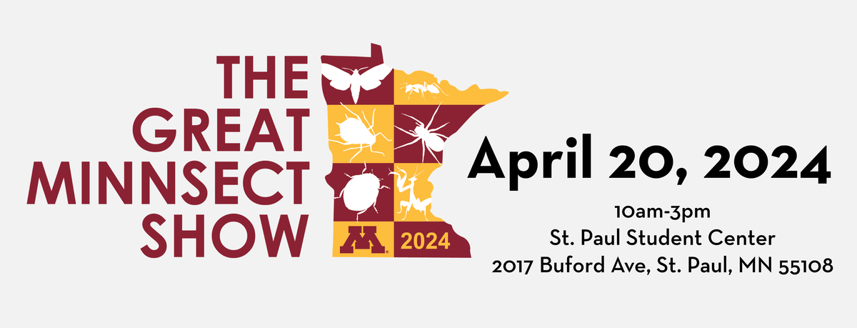 The Great Minnsect Show, April 20 2024