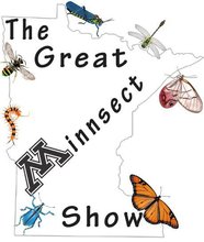 Great Minnsect Show
